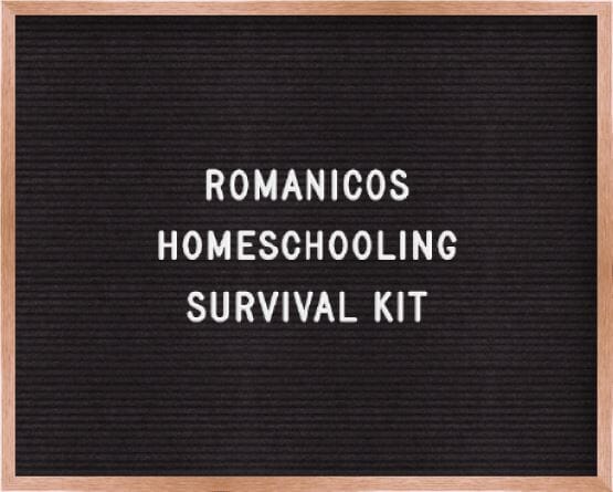 HOMESCHOOLING SURVIVAL KIT (for parents) ShopRomanicos 