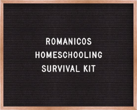 HOMESCHOOLING SURVIVAL KIT (for parents) - Romanicos Chocolate